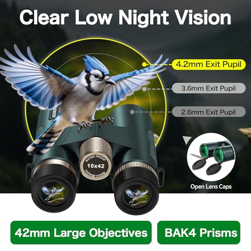 10x42 HD Binoculars for Adults, High Powered Binoculars with BAK4 Prism, Low Light Vision, Easy Focus, Waterproof Binoculars with Large Eyepiece for Bird Watching, Alaska Cruise, Hiking, Hunting - color: Green