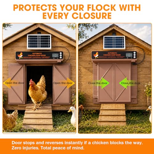 Automatic Chicken Coop Door, Solar Powered Chicken Door with Anti-Pinch Protection,LCD Screen and Weatherproof Build, Automatic Chicken Door with Timer,Light Sensor & 20 Meters Remote Control