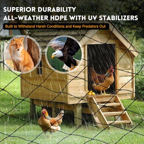 Heavy Knotted Poultry Netting for Chicken Run, 2" Mesh, 50x50 ft HDPE Chicken Coop Netting Cover, Hawk Netting for Chickens, Guards Poultry, Pets & Birds Against Raccoons & Predators - style: 50' x 50' - 2"