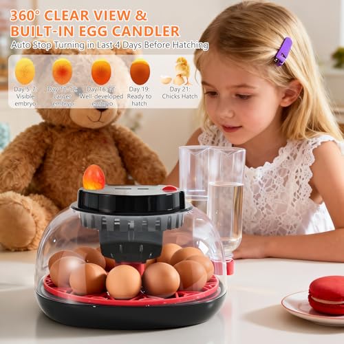 Incubators for Hatching Eggs - 12 Egg Capacity, Egg Incubator with Automatic Egg Turning and Temperature Control, Incubator for Chicken, Duck, Goose, Quail, 360° Full View, Home Farm Classroom Use