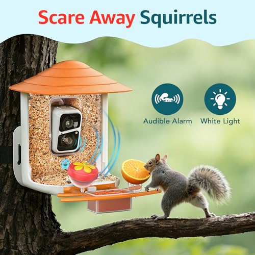 birdsnap® TUC Bird Feeder with Camera Solar Powered 2K Video with 32GB Card | AI Bird Species Identification, Squirrel-Proof, IP65 Waterproof, Outdoor Wireless, 2.4G WiFi, Gift for Mom Dad Bird Lovers - color: Orange