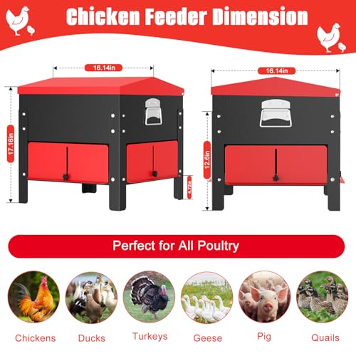80lbs Automatic Chicken Feeder, Heavy Duty Galvanized Steel Poultry Feeder, Weatherproof & Secure-Lid for Outdoor Use, No Waste & Rodent-Proof for Chickens, Ducks, Turkeys - color: 80lbs-Red