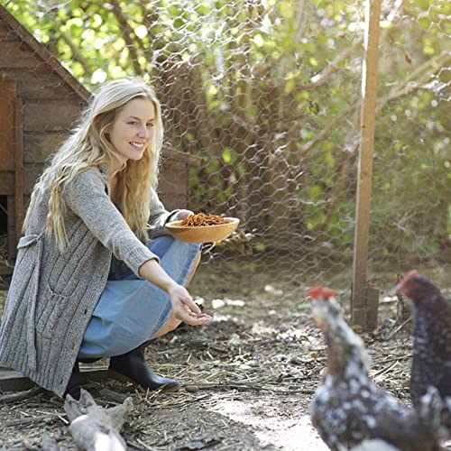 6LBs Non-GMO Dried Mealworms,High-Protein Larvae Treats Feed Molting Supplement for Birds Hens Ducks etc,Large Bulk Meal Worms Birds Chicken Food