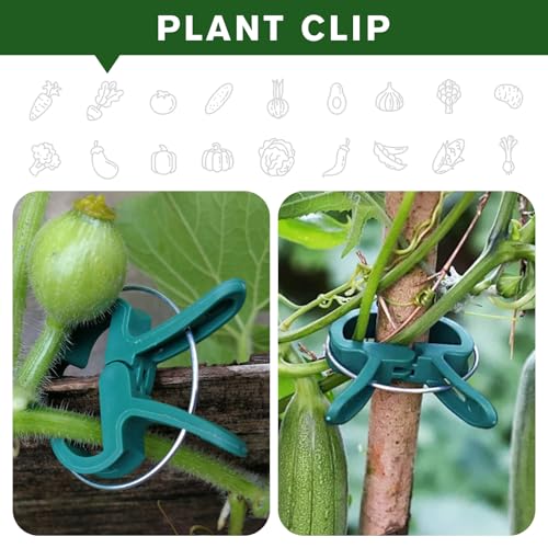 Plant Clips for Climbing Plants, Garden Support for Tomatoes & Vine - size: 120 Big