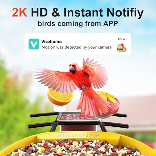 birdsnap® PAV Bird Feeder with Camera Solar Powered 2K Live Video 64GB Card | AI Bird Species Identification, Instant Arrival Alerts, IP65 Waterproof, Wild Bird Feeders for Outdoors, Gift for Bird Lovers - color: Dark Yellow