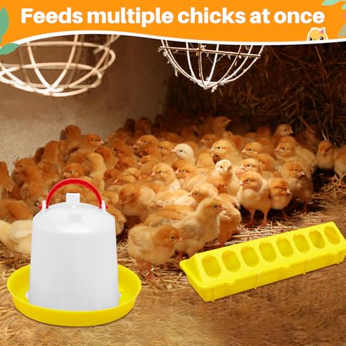Funnymoom 12 Pack Chicken Feeder and Waterer Set Bird Small Poultry Feeder Flip Top Bird Small Poultry Feeding for Pigeon Chick Drinker Duckling Quail Feeding Dispenser(Yellow,8 Holes) - color: Yellow, style: 8 Holes