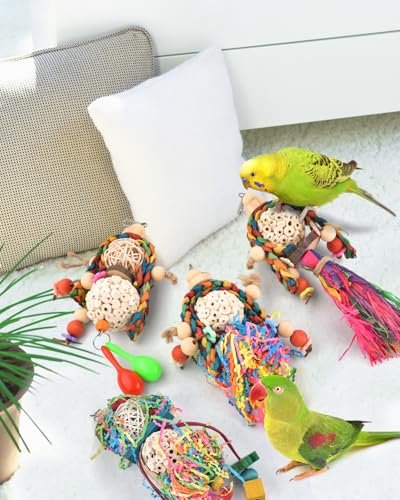 Bissap Conure Toys, 4 PCS Bird Parrot Foraging Shredder Hanging Toys Sola Balls with Sand Hammer for Small Parrots Parakeets Conures Cockatiels Love Birds Cage Toy - size: 4 PCS