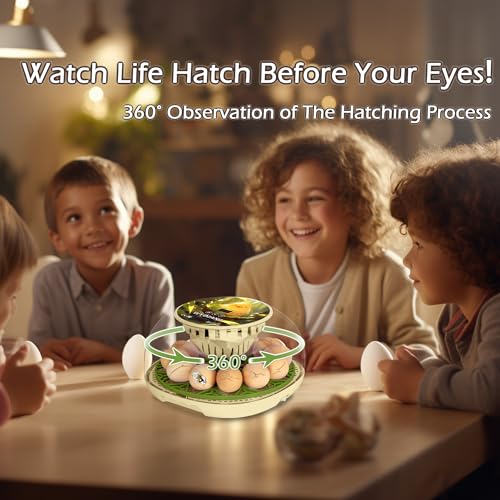 Smart Chicken Incubators for Hatching Eggs with Automatic Turner Small Poultry Duck Quail 12 Egg Incubator Temperature Control Display Hatcher Machine (Chirvy) - color: Chirvy