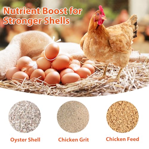 2 Pack Gravity Chicken Grit Feeders with Lids, Metal Oyster Shell Feeder | Hanging Gravity Chicken Poultry Feeder Troughs, Metal Coop Accessories Supplies, Grit, Oyster Shell, Feed