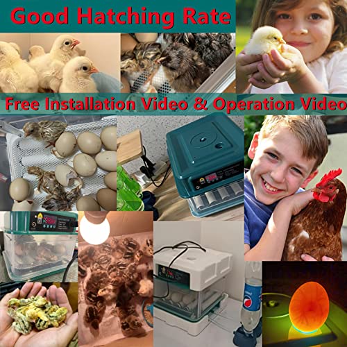 Egg Automatic Incubator | 24-60 Eggs, Intelligent Incubators for Hatching Eggs, Poultry Hatching Machine, For Chicken Duck Goose Quail Bird Pigeon