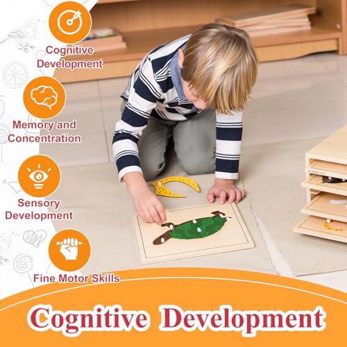 Montessori Wooden Turtle Puzzle for Kids Ages 3-6 – Educational Shape Sorting Toy for Preschool Learning, Fine Motor Skills & Problem Solving | Safe Toddler Puzzle for Home & Classroom (7-Pieces) - color: Turtle