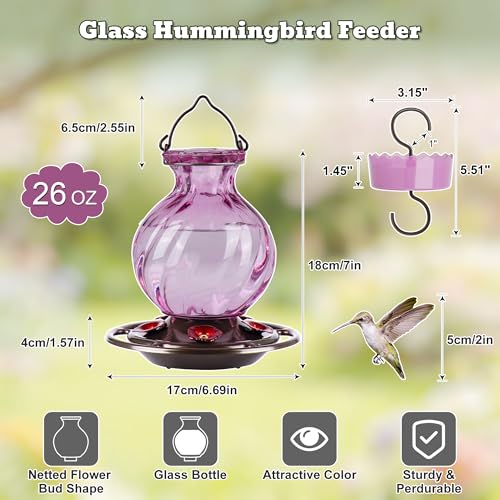 Auslar Glass Hummingbird Feeders for Outdoors Hanging, Purple, 26 Oz | Hummingbird Feeder with Ant Proof Moat, 5 Bee Proof Feeding Ports, 360°Perch, Leak-proof, Outside Garden Backyard Decor - color: Purple