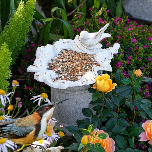Sungmor Cast Iron Bird Feeder Dish, Rustic White Small Bird Feeding Tray | Decorative Leaf-Shaped Outdoor Bath Bowl Food Container for Garden, Patio or Yard - color: Rustic White