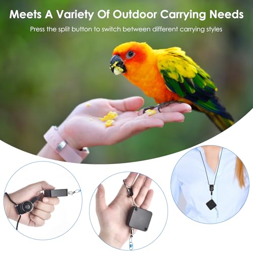 6.6Ft Bird Leash, with 13 Different Size Foot Ring Retractable Anti-Bite Parrot Harness, Bird Flight Training Rope for Budgies,Cockatiels,Psittacula Longicauda,Mini Macaws （Silver Ankle Bracelet） - color: Silver ankle bracelet