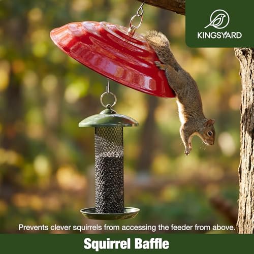 Kingsyard Metal Squirrel Baffle for Bird Feeders Hanging, Rain Guard Cover | 11 in, Chew-Proof & Squirrel-Proof, Ready to Use, Fits Most Feeders Outdoors, Weatherproof, Easy to Clean, Red - color: Red