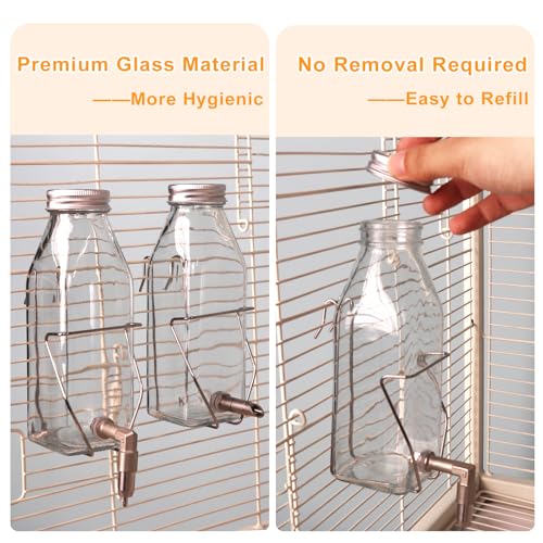 Guinea Pig & Rabbit Water Bottle, 350ml No-Drip Chew-Proof Glass Dispenser with Stainless Steel Nozzle for Hamster, Squirrel, Bird, Guinea Pig Cage (350-H)