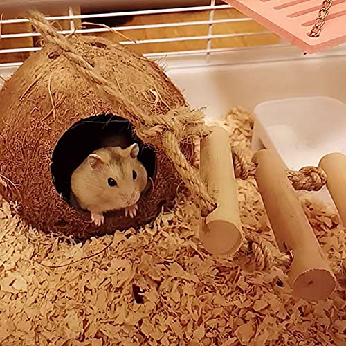 Bird Hides Coconut Nest with Wood Ladder,Syrian Hamster Cage Hanging Natural Coco Shell Hut Hide Toy with Wooden Bridge,Hollow Hideaway Toys for Small Animal Rat Lovebird Finches - size: 1PCS 22.04x13.38in
