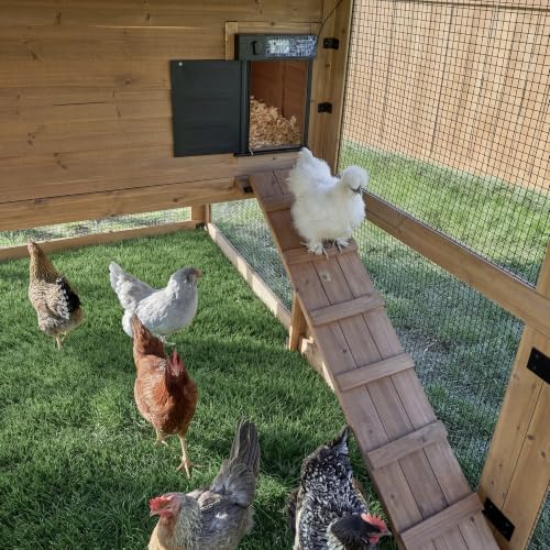 Backyard Discovery Rustic Roots Cedar Wooden Chicken Coop for Up to 6 Chickens with Automatic Door, Nesting Box, Wire Mesh Run, Roosting Bars, Steel Roof, Removable Floor Mats, Rooster and Hen House
