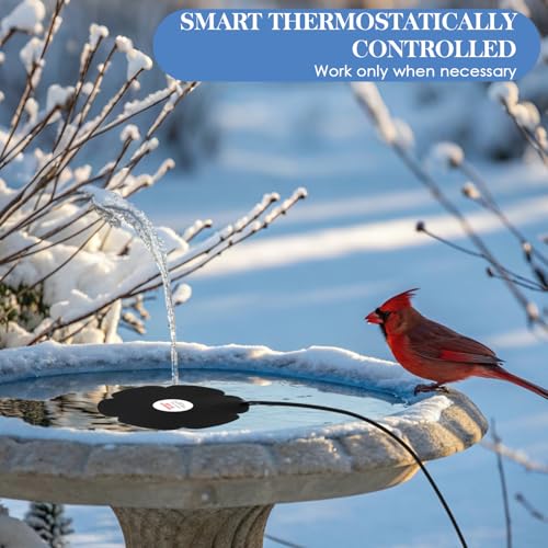Tujoe 2 Pack 250W Bird Bath Heater De-icer, Thermostatically Controlled Birdbath Water Heater with 6.6 ft Cord, Outdoor Winter Heaters for Bird Bath, Chicken Waterer, Pond
