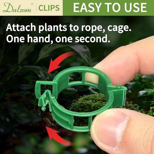 Dalzom® 300Pcs Tomato Clips, Plastic Trellis Clips Plant Support Clips, Plant Clips for Support, Grape Vine, Tomato Vine, Vegetables Plants, Garden Clips to Grow Upright Makes Plants Healthier (Green) - color: Green
