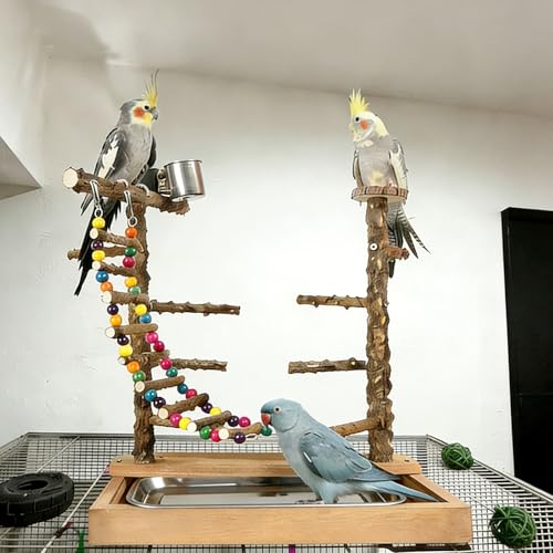 Wooden Bird Play Stand Parrots Playground Perch Stand with Bird Ladder Chewing Toys and 2 Stainless Steel Cups (Brown) - color: Brown