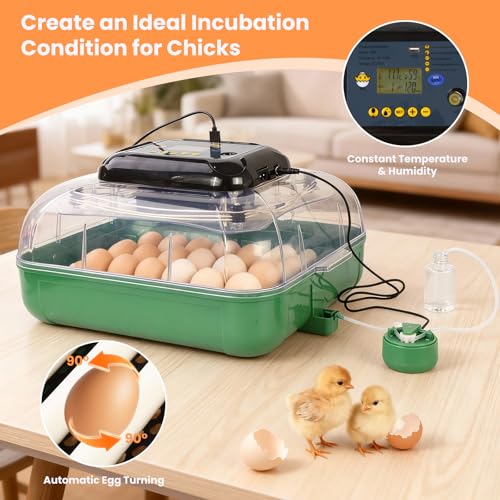 24 Egg Incubator for Hatching Eggs, 360° View Poultry Incubator, Automatic Egg Turning, Temperature & Humidity Display, Auto Water Refilling System, Egg Candler, Multifunctional Egg Tray for Chicken