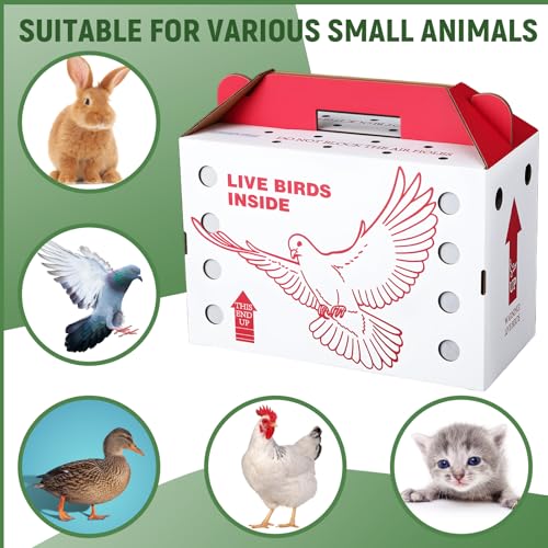 15 Pack Single Live Chicken Shipping Boxes 17.5 x 8.5 x 11.5" Live Bird Shipping Boxes Cardboard Pet Carrier with Handle for Poultry, Pigeons, & Canaries(Red) - color: Red