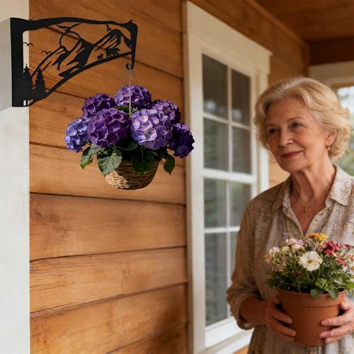 Black Metal Bird Feeder Wall Hanger Indoor Outdoor, Heavy Duty Hook Holder for Basket Plant Pot, Staghorn Fern, Bird Feeder and Wind Chime, Mountain Decor for Wall Window Patio Porch Garden - color: Mountain