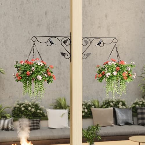 PROWORX 2 Pack 12 Inch Plant Hangers Outdoor Bracket, Bird Design Indoor Wall Mount Metal Heavy Duty Rust-Resistant Bird Feeder Plant Hooks for Hanging Planters, Flower Baskets - size: 12 Inch-Bird-2 Pcs