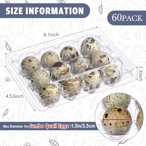 60 Pcs Giant Quail Egg Cartons 12 Grids Clear Plastic Stackable Trays for Jumbo Quail Eggs, Pigeon Eggs, Small Poultry, Great for Home Fridge Storage, Farm, Market, Gift Box Packing