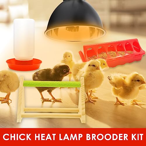 Chick Feeder and Waterer Kit with 75W Heat Lamp, Chick Perch, Flip Top Poultry Feeder, Baby Chick Starter Kit for Chick Brooder, Baby Chicken Supplies for Baby Chick, Duck and Quail - color: Chick Feeder and Waterer Kit With 75w Heat Lamp
