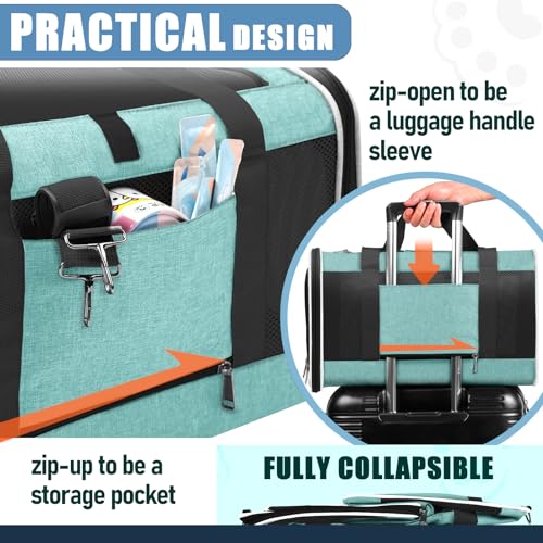 GAPZER Large Cat Carrier Soft, Collapsible Travel Pet Carry Bag, Small Dogs | Big Kitten Cat 20lbs Mainecoon, Top Open Travel Shih-Tzu Pet Kennel, Yorkie Small Dog 10 Pounds, 18x12x12, Durable Cloth Teal - color: Turquoise