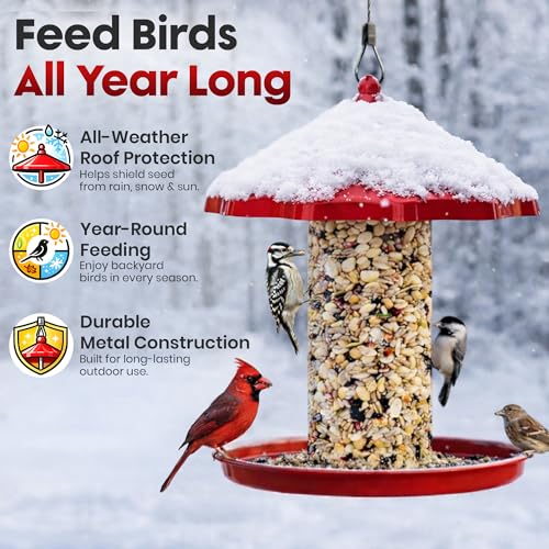 Cylinder Bird Feeder for Outdoors - Hanging Metal Bird Seed Holder | Rust Resistant Metal, Holds Bird Seed Cylinders, Logs & Cakes Up to 6 Inches, 360° Feeding, Easy to Clean