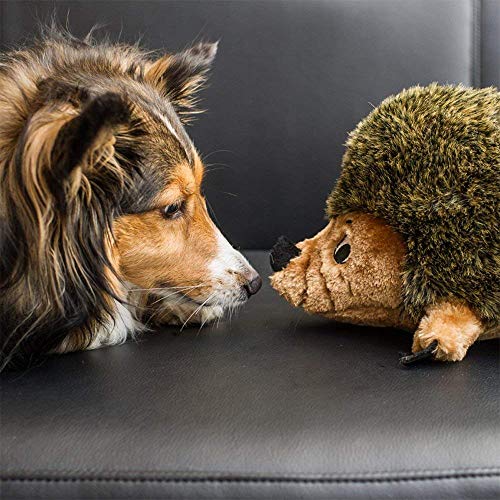 Outward Hound Hedgehogz Stuffed Dog Toy – Soft Plush Hedgehog, Grunts & Squeaks, 12" x 8.5" x 9", X Large (Pack of 12) - size: X Large (Pack of 12)