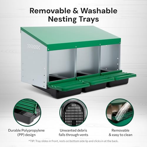 Homestead Essentials Classic Style 3 Compartment, Forward Rollout & Rollaway, Hen & Chicken Nesting Box with Integrated Perch and Protective Egg Laying Collection Lids - size: 3 Compartment