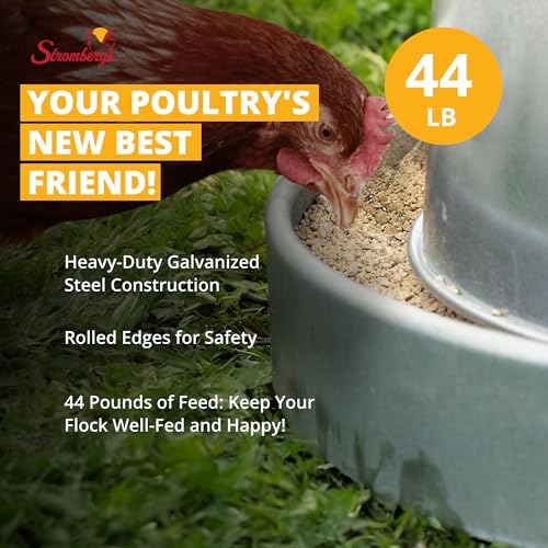 Stromberg's Metal Hanging Poultry Feeder, Galvanized Heavy Duty Steel, Holds 44 lbs, Rolled Edges for Safety, Secure Feed Flow Lock, Versatile Use Free Standing or Hanging