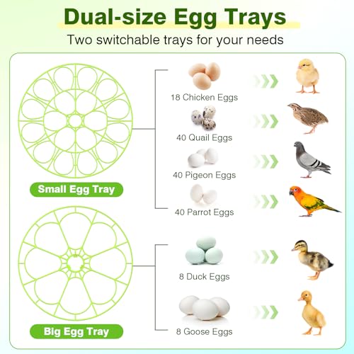 18 Chicken Egg Incubator with Temperature Control Auto Egg Turner | Humidity Display, Egg Candler, 2 Size Egg Trays, Chick Incubaotrs for Hatching Eggs Digital Incubator for Chicken, Duck Eggs - style: 18 Eggs