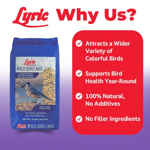 Lyric Wild Bird Mix - Includes Corn, Nuts, and Wild Bird Seed for Outside Feeders, Attracts Doves, Jays and Many More, 40 lb Bag | Includes corn, white millet, sunflower and safflower seeds and peanuts - Attracts Doves, Jays and many more