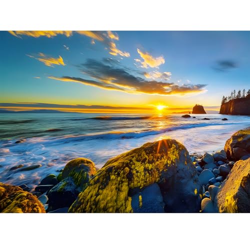 500 Pieces Puzzle for Adults - Olympic National Park Jigsaw Puzzle for Adults Teens,Recycled Cardboard Sunset Beach Puzzle 500 Pieces,Challenging Game for Family Fun & Gift Idea,20.5 x 15 in - color: Olympic Park