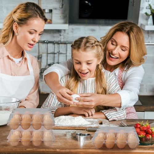 130 Packs 3 x 4 Clear Egg Cartons, 1 Dozen Plastic Egg Cartons, Transparent Chicken egg Trays Holds up to 12 Eggs for Storage and Market Display