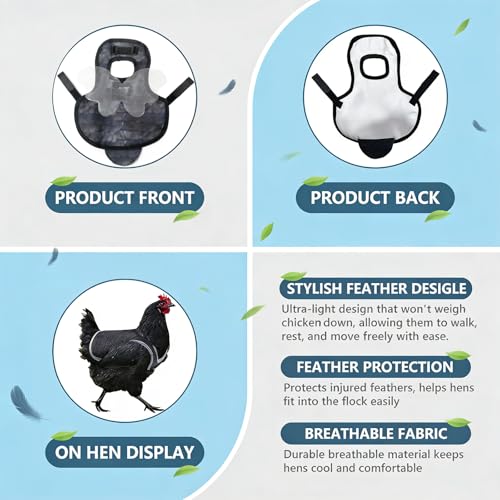 3-Pack Chicken Saddle for Hens, Back Protector with Removable Wings | Replaceable Oxford & clear wing covers protect hens’ back and wings from rooster mating, pecking and feather loss