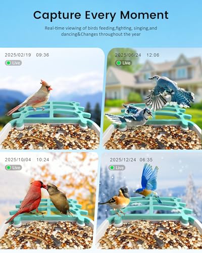 Smart Bird Feeder Camera (Dual Panel), Solar Powered, Identify 11,000+ Birds with AI, Auto Capture & Notify, 2K HD Footage, Outdoor Bird Watching, Ideal Gift for Birds Lovers. - color: Forest green