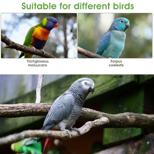 4 Pcs Bird Diaper, Parrot Diapers with Waterproof Inner | Reusable Flight Suit Cute Soft Bird Diaper Clothes for Parakeets Cockatiel Canary Monk Parakeet (L) - color: Yellow + Pink + White