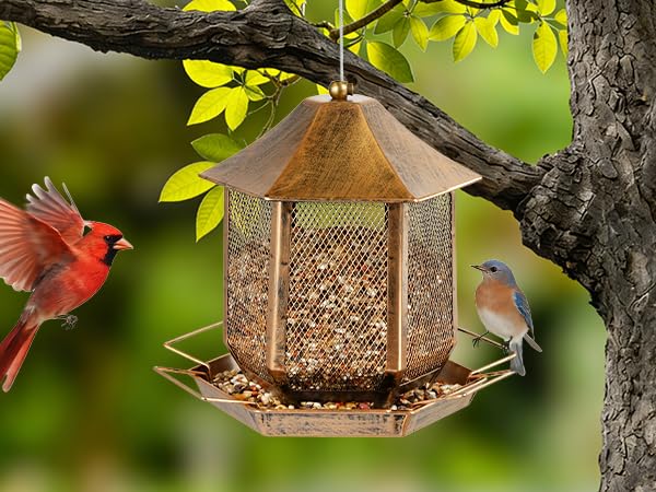 Bird Feeder, Heavy Duty Metal Bird Feeders for Outdoor Hanging, 3.5LB Extra Large Capacity Wild Birdfeeder for Garden Yard Outside Backyard - size: 3.5 pounds