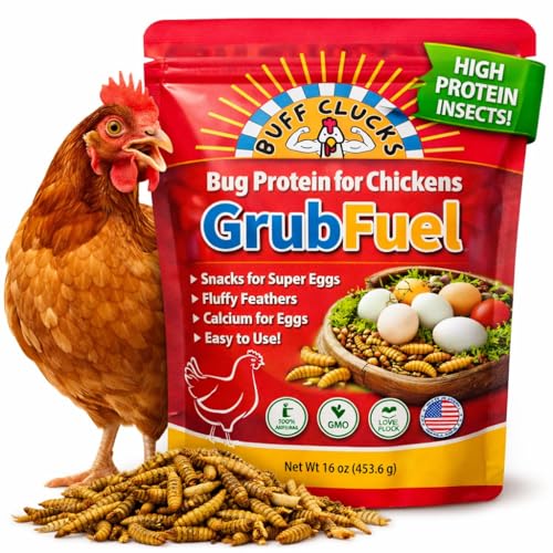 Buff Clucks Grub Fuel Black Soldier Fly Larvae for Chickens, Chick Feed 1lb | Chicken Snack for Poultry, Chicken Treats for Laying Hens, Dried BSFL Rich in Protein, Calcium, Fiber, Essential Fatty Acids - size: 1 Pound (Pack of 1)