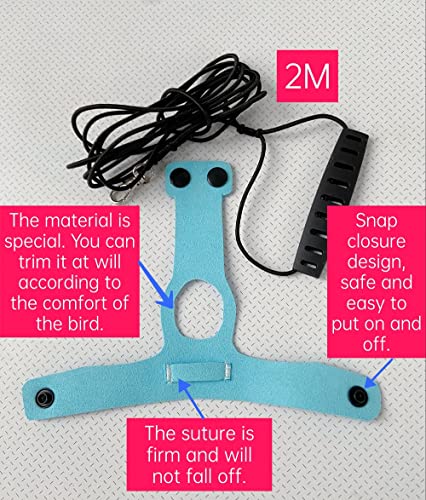 Bird Flight Harness Vest, Parrot Flight Suit with Leash for Parakeets Cockatiels Conures Budgies, Bird Flying Clothes with Rope and Handle for Outdoor Activities Training, Anti Bite (L, Blue)