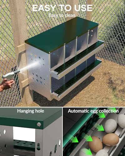 Chicken Nesting Box, 8 Compartment Metal Nesting Box, Wall Mountable Nesting Boxes with Swing Perch and Roll Away Egg Collection, Vented Holes, 8 Training Eggs Included - color: Green