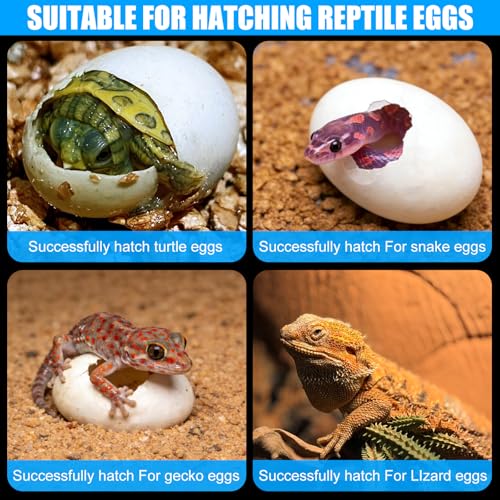 16 Grids Reptile Egg Incubator Box Turtle Lizard Gecko Snake Hatching Container Complete Kit with Tweezers Clip Vermiculite Spray Bottle
