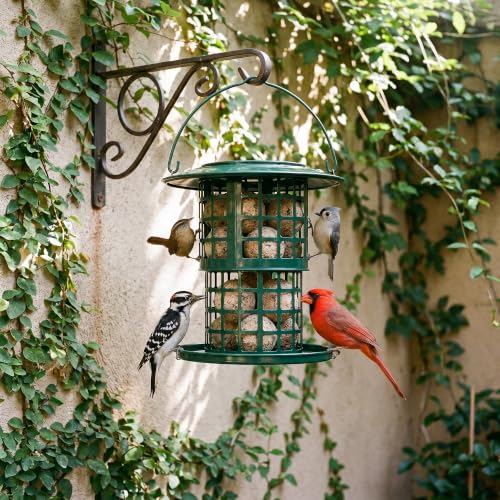 KOL Metal Suet Ball Feeder for Birds – Single-Layer Expandable Design Suet Bird Feeder, Heavy-Duty Wild Bird Feeder with Secure Lid, Large Capacity for Backyard (Jasper) - color: Jasper