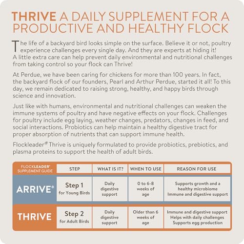 Thrive, Daily Probiotic & Prebiotic Water Supplement for Chickens 8+ Weeks Old, 8 oz (Pack of 2) - color: FlockLeader Thrive, size: 8 Ounce (Pack of 2)